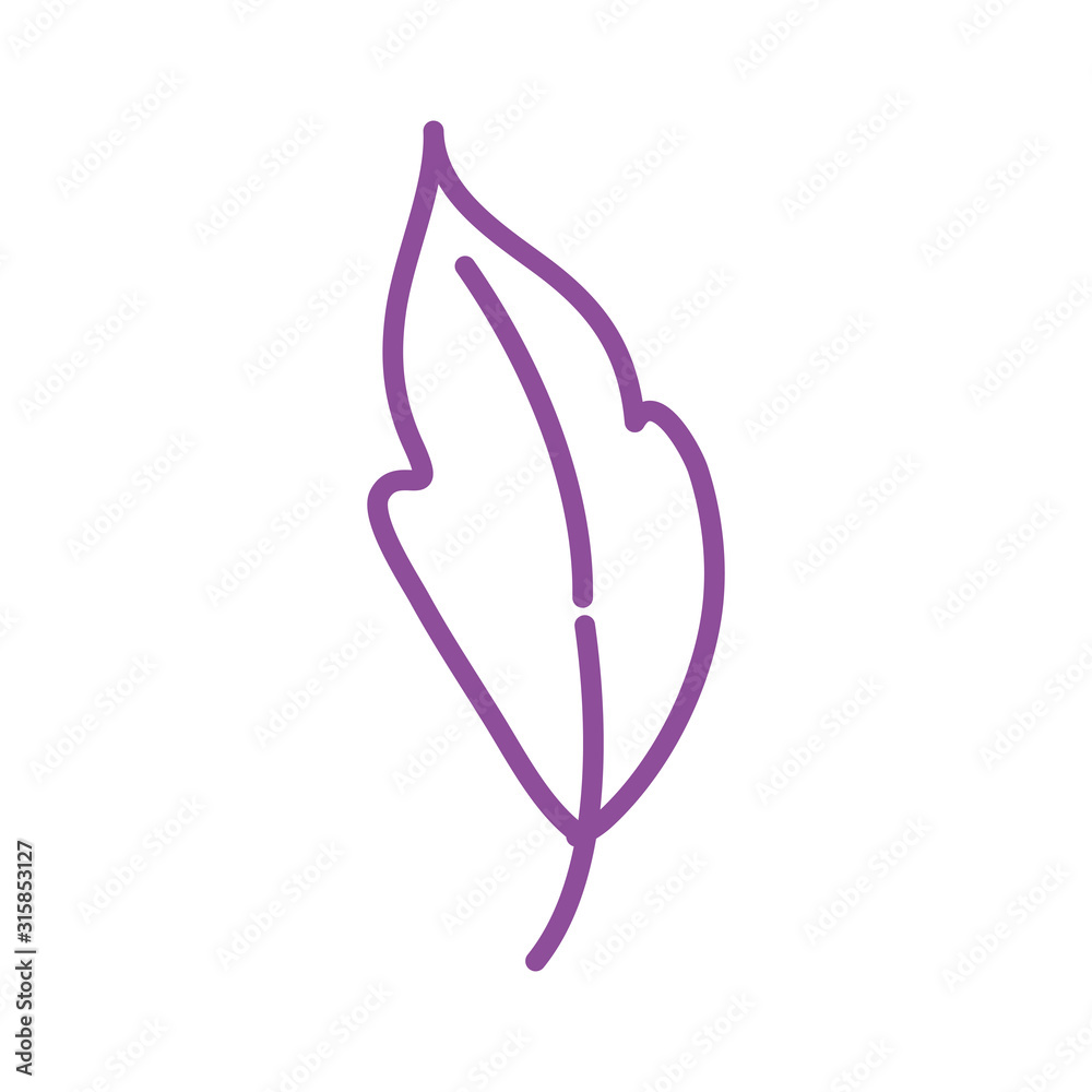 feather bird decorative isolated icon feather bird decorative isolated icon