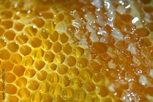Macro Honeycomb and Honey