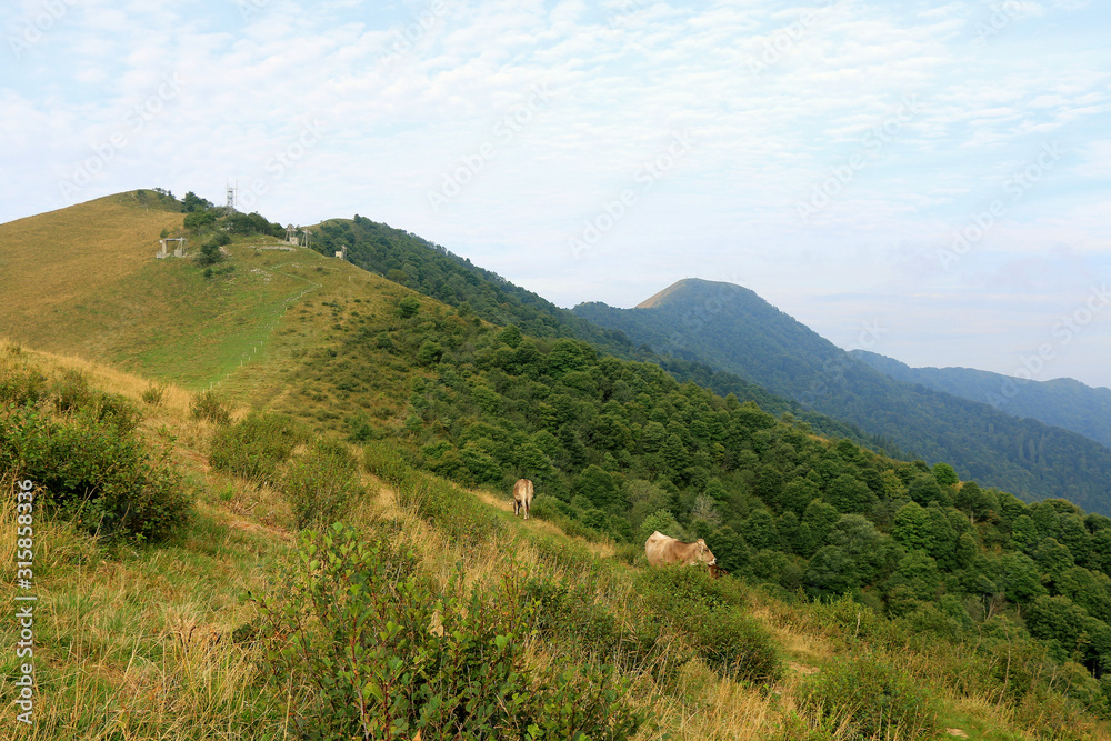 Obraz premium On the path to climb the summit of Mount San Primo, Italy.