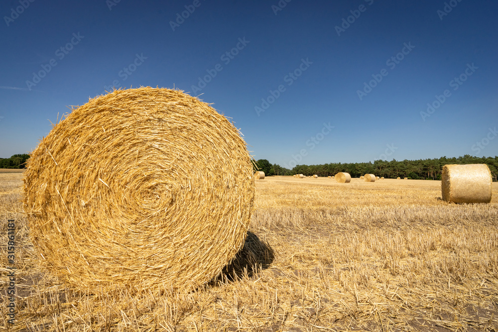 Strohballen auf einen Stoppelfeld im Sommer Strohballen auf einen Stoppelfeld im Sommer