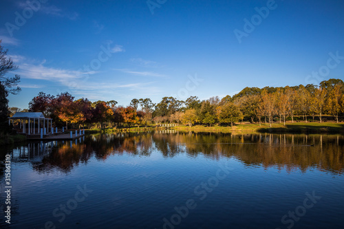 Reflection in the park