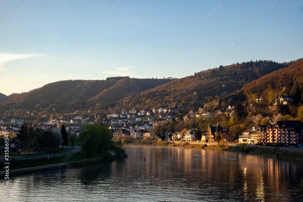 Town on the Rhine Germany