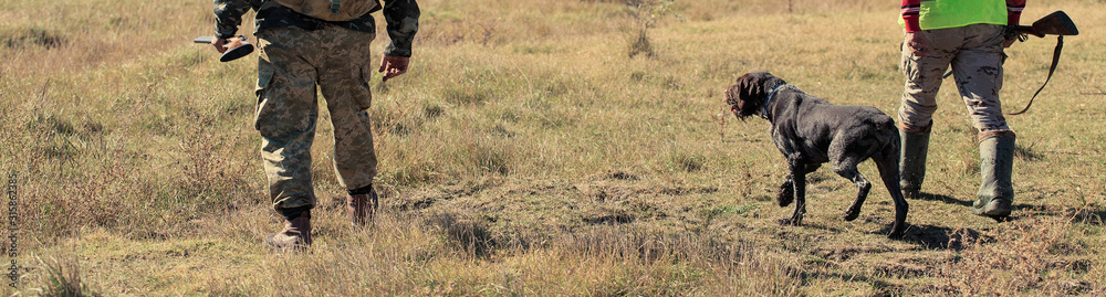 A mans with a gun in his hands and an camouflage vest on a pheasant hunt in a wooded area in cloudy weather. Hunters in search of game. A mans with a gun in his hands and an camouflage vest on a pheasant hunt in a wooded area in cloudy weather. Hunters in search of game.