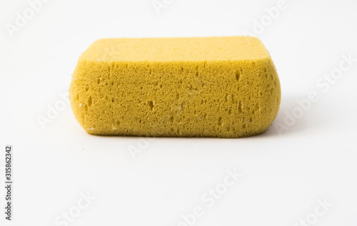 sponge isolated on white background