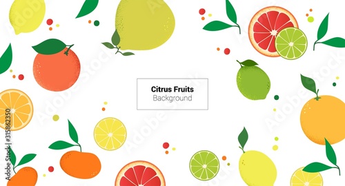 Colorful fruits citrus on white background. Vector illustration