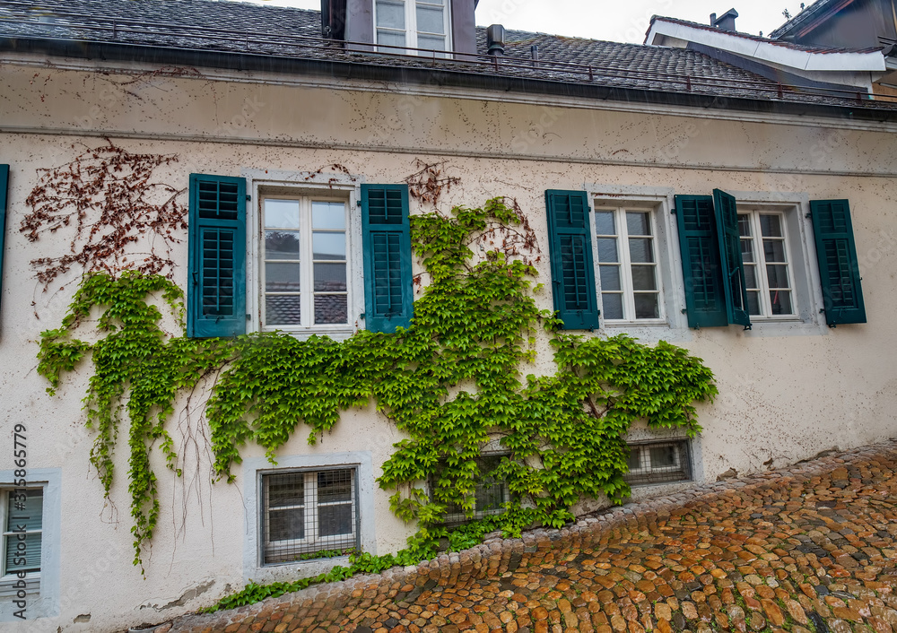 House wall covered in ivy with windows with open shutters on cobbled street descending on hillside