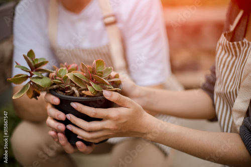Growing seedlings in the nursery bags Like the hand of a woman and the hand of a young man is about to be planted in fertile soil