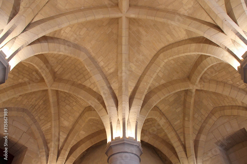 gothic building in paris (france)