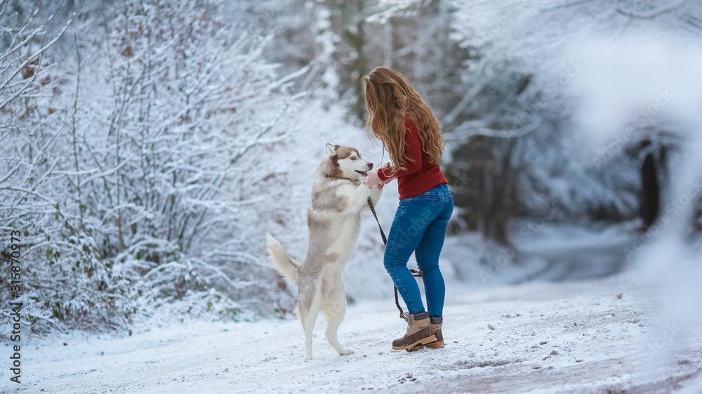 Woman volking with dog on winter forest snow covered road. Woman volking with dog on winter forest snow covered road.