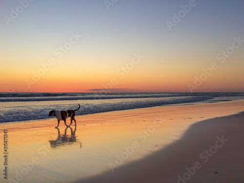 Beautiful sunset on the beach in Western Australia, near city Perth