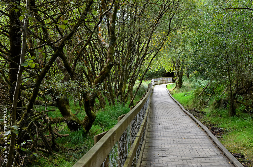 walking route through nature park in Glendalough walking route through nature park in Glendalough