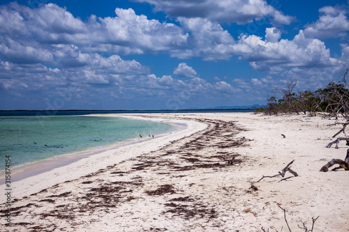Beach in Cuba after storm wood on the sand