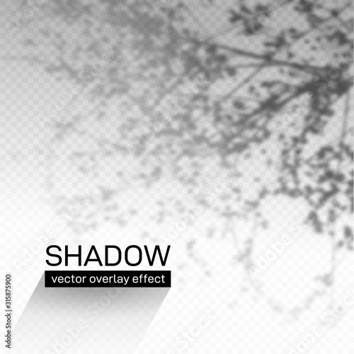 Shadow overlay effect. Soft light and grey shadows from plant branches and leaves. Mockup of shadow overlay effect and natural lightning. Vector illustration. Isolated on transparent background.