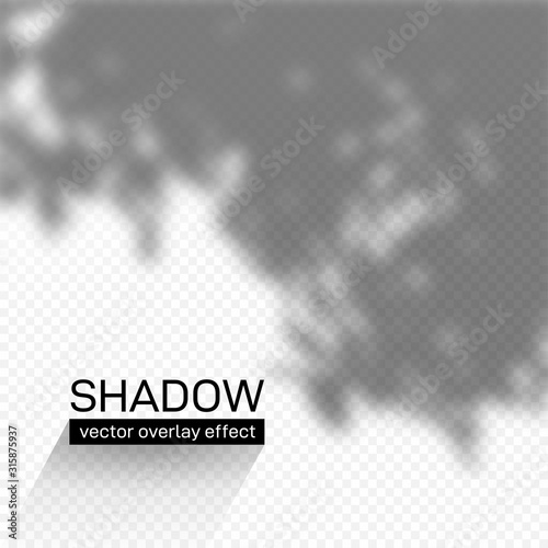 Shadow overlay effect. Soft light and grey shadows from plant branches and leaves. Mockup of shadow overlay effect and natural lightning. Vector illustration. Isolated on transparent background.