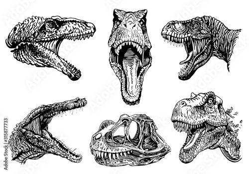 Graphical set of dinosaur portraits isolated on white background, vector illustration,paleontology