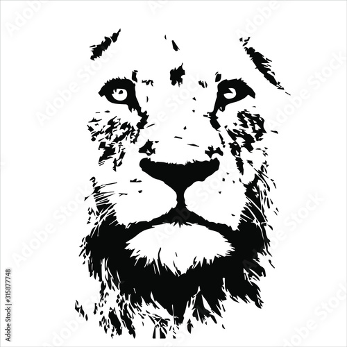 Hand drawn lion head. Vector isolated on a transparent background