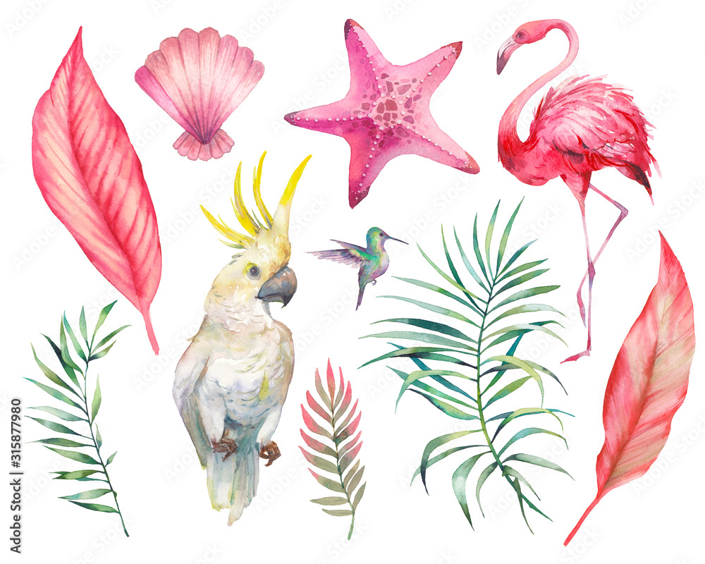 Fototapeta premium Watercolor tropical objects set. Clip art with palm leaves, parrot, flamingo, shell and sea star. Design elements isolated on white background