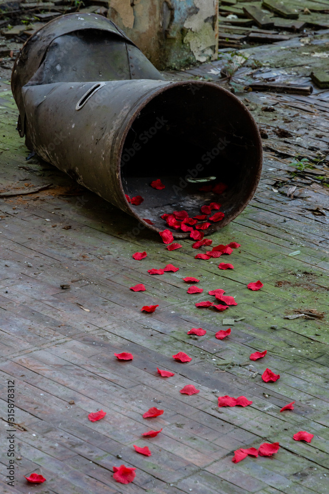 petali rossi in luogo abbandonato