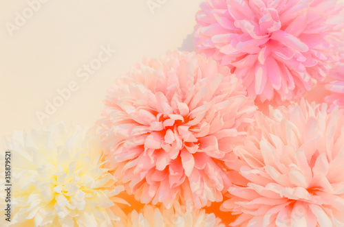 Beautiful abstract color purple and pink flowers on yellow background and white flower frame and pink leaves texture, white background, colorful flowers banner happy valentine