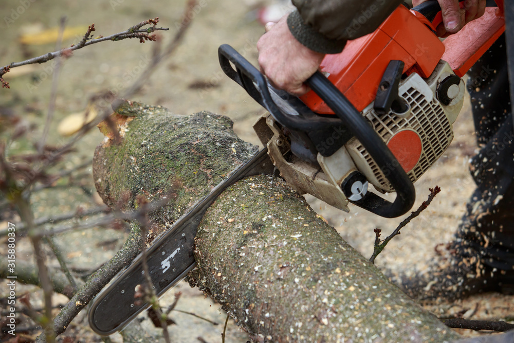 chainsaw in a hands