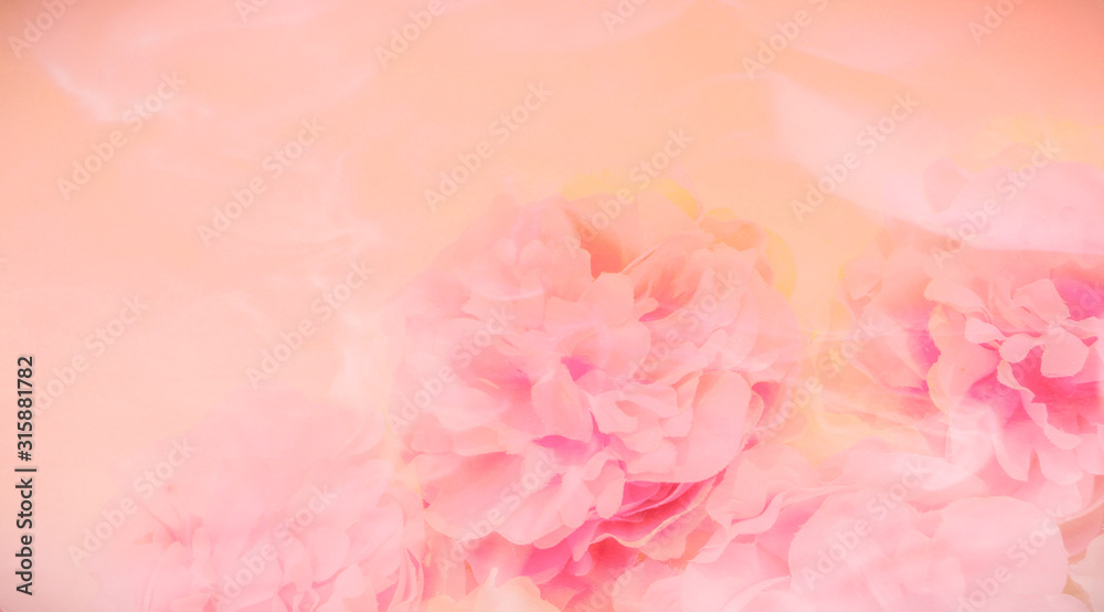 Beautiful abstract color purple and pink flowers on lightning background and orange flower frame and pink leaves texture, colorful flowers banners valentine