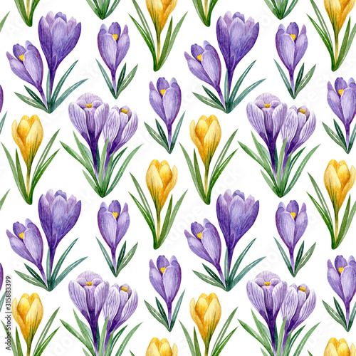 Purple and yellow crocuses seamless pattern isolated on white background. Watercolor spring floral illustration. Hand drawn texture for fabrics  wrapping paper  scrapbooking  wallpaper.