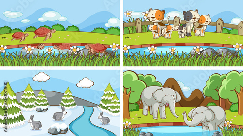 Background scenes of animals in the wild