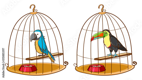 Two birds in bird cages