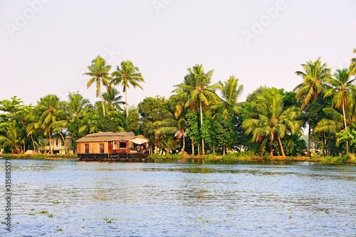 Cruising Through The Palms- Kerala, India 
