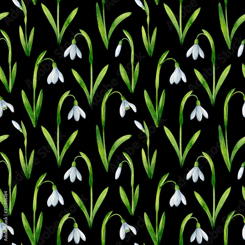 White snowdrops seamless pattern isolated on black background. Watercolor spring floral illustration. Hand drawn texture for fabrics  wrapping paper  scrapbooking  wallpaper.