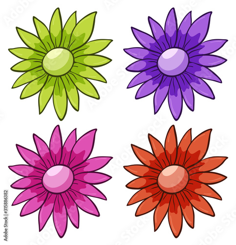 Isolated set of flowers
