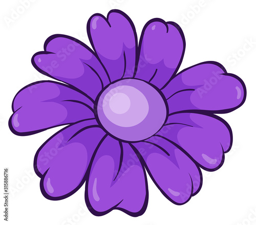 Single flower in purple color