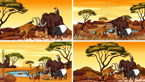 Four scenes with animals in savanna © GraphicsRF