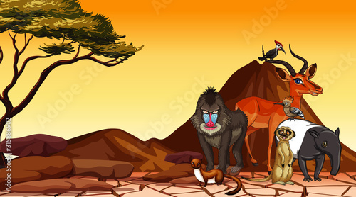 Scene with animals in the field