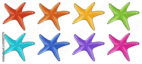 Many starfish in different colors