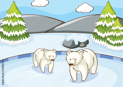 Scene with polar bears in winter