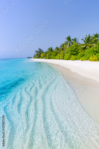 Tropical beach scene, blue sea and palm trees and white sand, summer vacation and holiday background concept