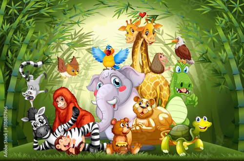 Many cute animals in bamboo forest