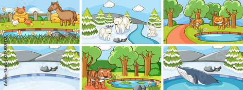 Background scenes of animals in the wild