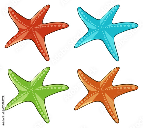 Four starfish in different colors