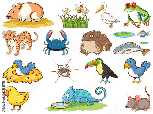 Large set of wildlife with many types of animals