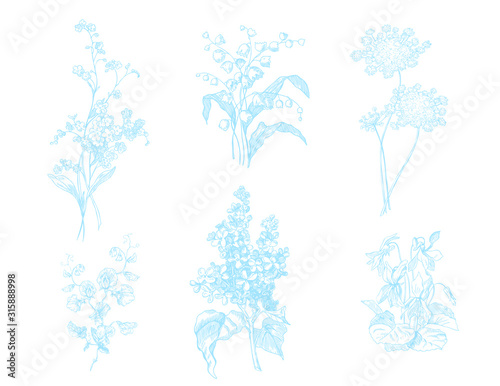 Lily of the valley, Forget me not, sweat peas, lilac, violet - spring flowers set