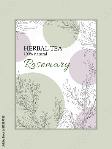 Herbal tea vactor card template. Modern illustration for design and web.