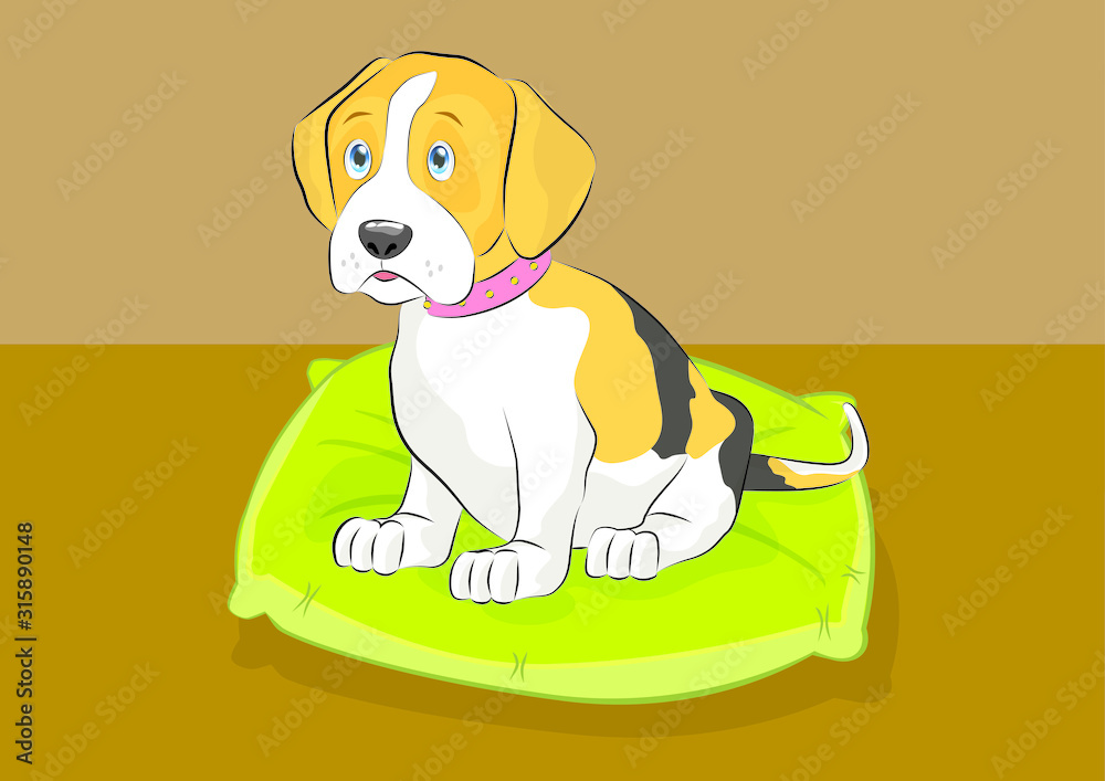 Beagle Puppy sitting on a Pillow