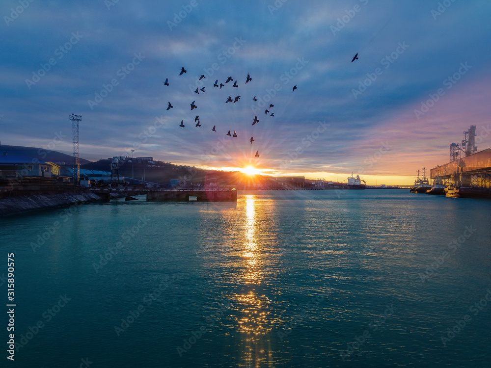 A flock of pigeons over the sea at sunrise, in a port with moored ships under a cloudy blue sky.