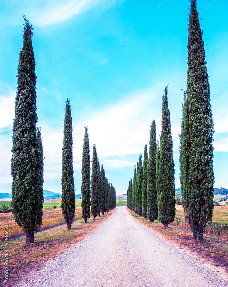 Magic beautiful landscape with road and cypress in Tuscany, Italy in San Quirico d'Orcia (Val d'Orcia). Excellent tourist places.