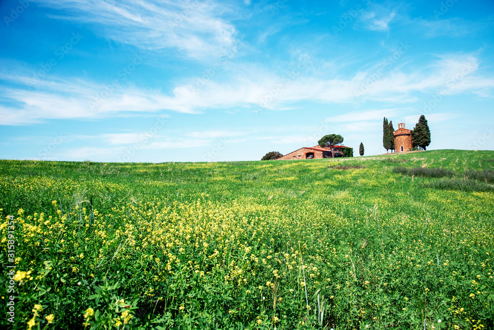 Magic nice landscape with rape flowers and chapel of Madonna di Vitaleta in background on a sunny day in San Quirico d'Orcia (Val d'Orcia) in Tuscany, Italy. Excellent tourist places.