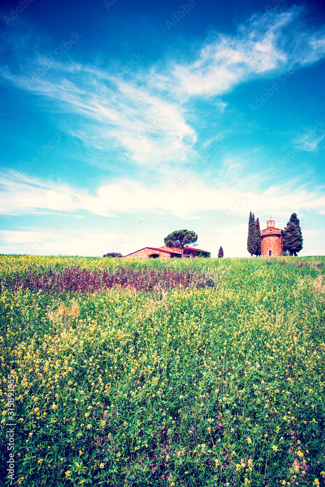 Magic nice landscape with rape flowers and chapel of Madonna di Vitaleta in background on a sunny day in San Quirico d'Orcia (Val d'Orcia) in Tuscany, Italy. Excellent tourist places.