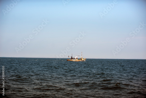 Ukraine, Sea of Azov, industrial fishing, Azov goby