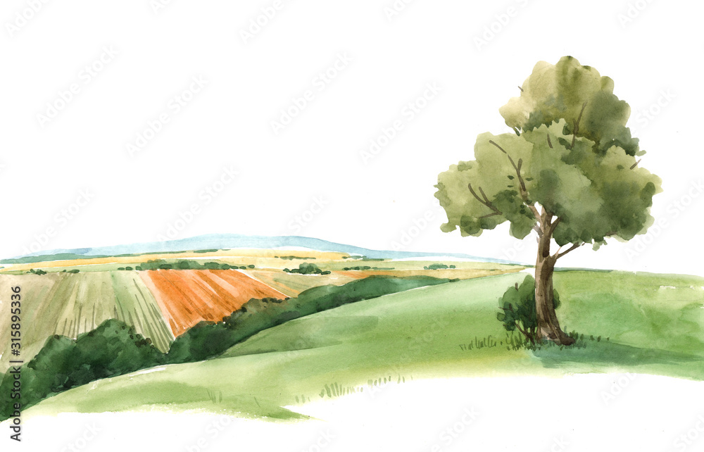 Obraz Watercolor scenery landscape view paysage with green field and tree